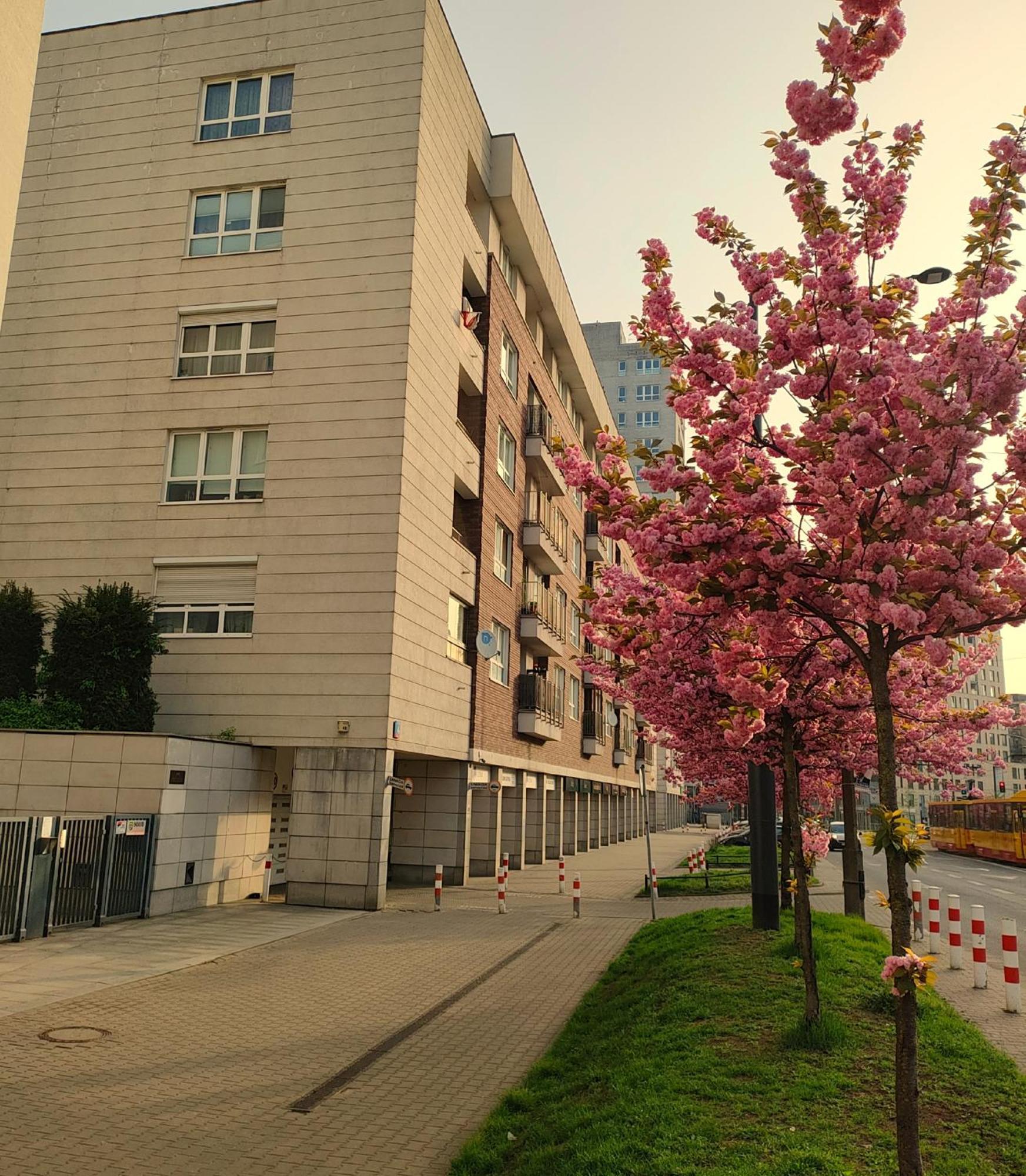 Totutotam Studio Warsaw Exterior photo